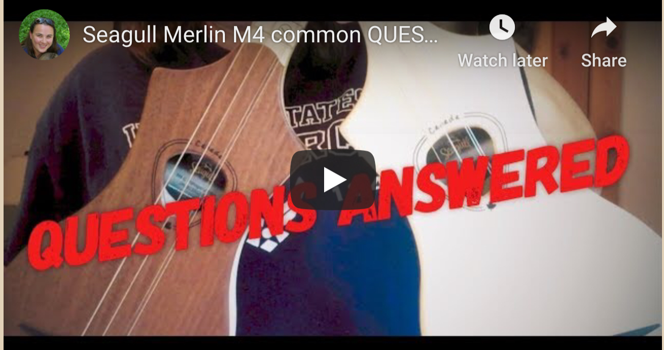 Merlin Common Questions Answered
