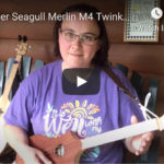 Twinkle Twinkle Little Star D & G Merlin – Beginner