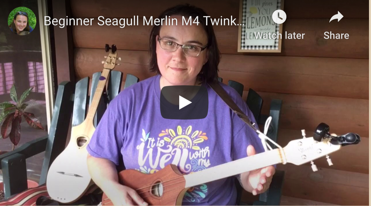 Twinkle Twinkle Little Star D & G Merlin – Beginner