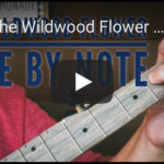 Wildwood Flower 2 note-by-note banjo lesson – Intermediate