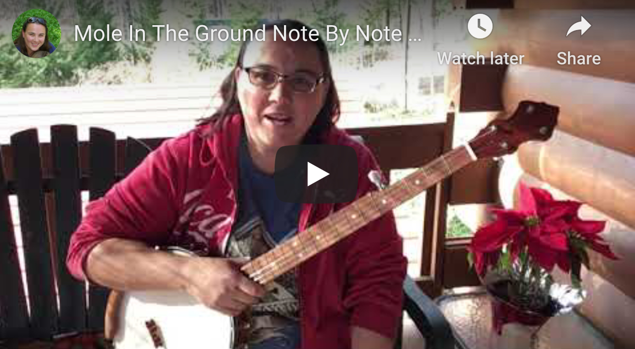 Mole In The Ground 2 -Note By Note w/tabs